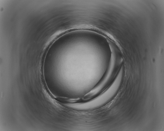 X0000085321422200703161454
