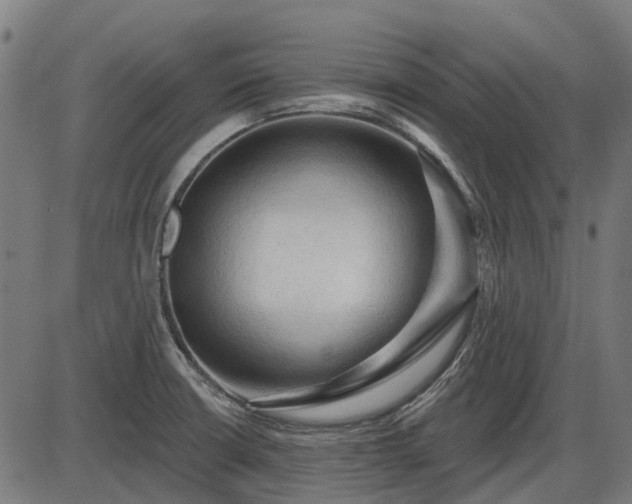 X0000085321426200703161454