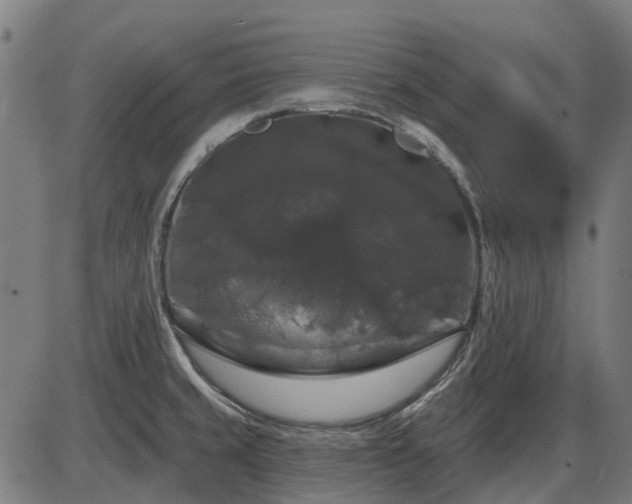 X0000085321429200703161454
