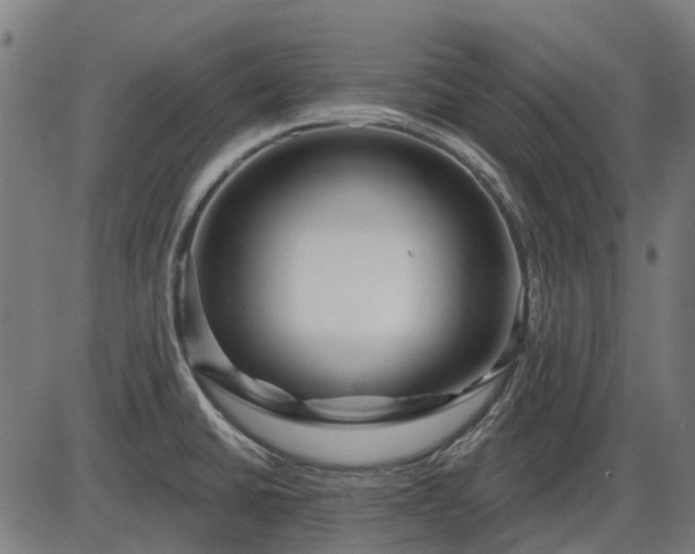 X0000085321430200703161454