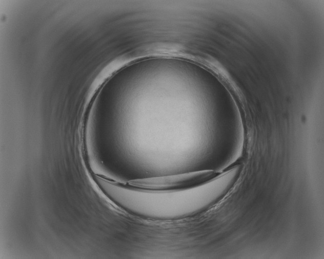 X0000085321432200703161454