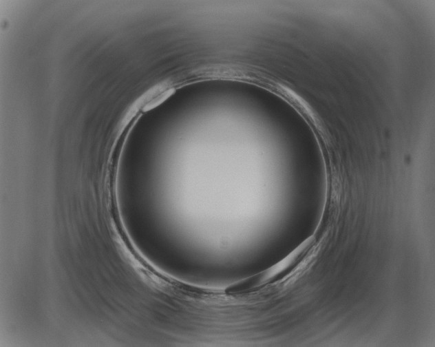 X0000085321434200703161454