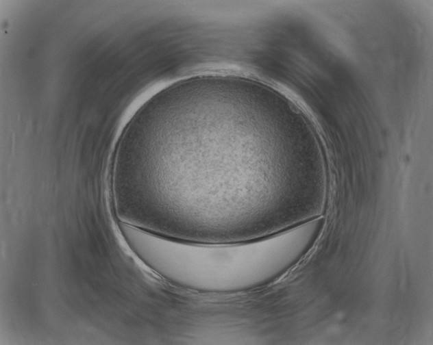 X0000085321440200703161454