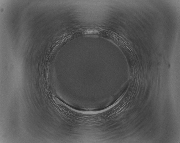 X0000085321441200703161453