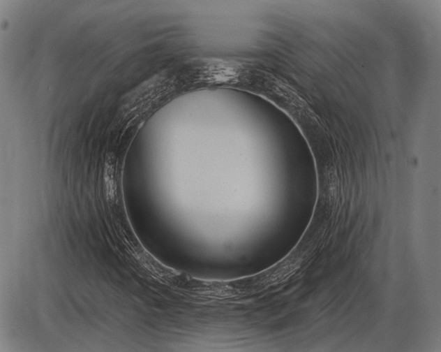 X0000085321442200703161453