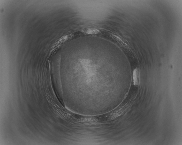 X0000085321443200703161453
