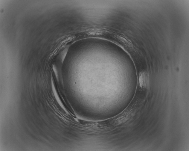 X0000085321444200703161453