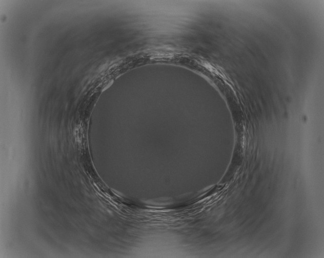 X0000085321445200703161453