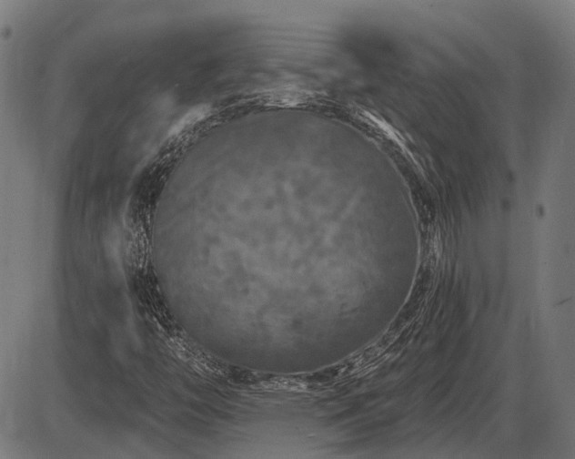 X0000085321446200703161453