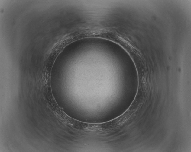 X0000085321447200703161453