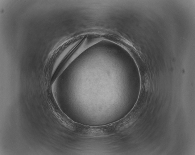 X0000085321448200703161453