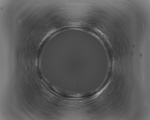 X0000085321449200703161453