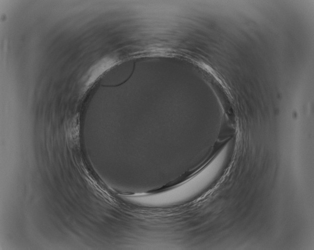 X0000085321450200703161453