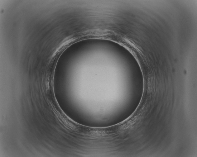 X0000085321451200703161453