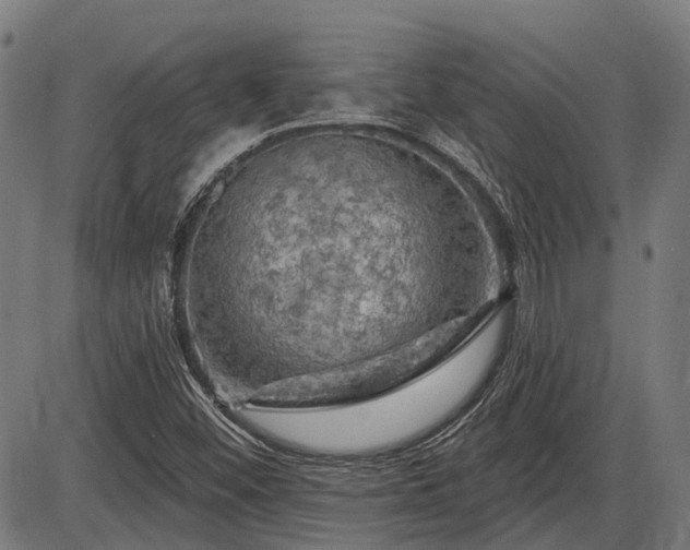 X0000085321452200703161453