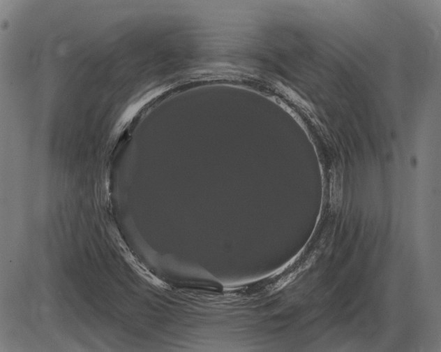 X0000085321453200703161453