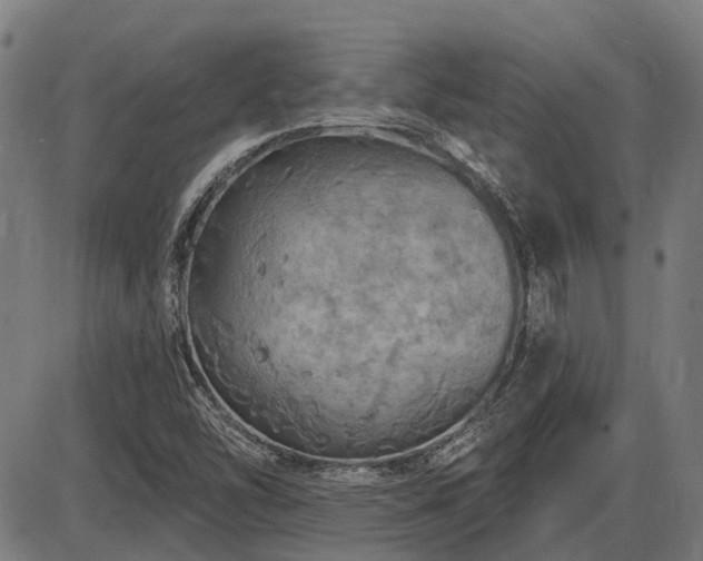 X0000085321454200703161453
