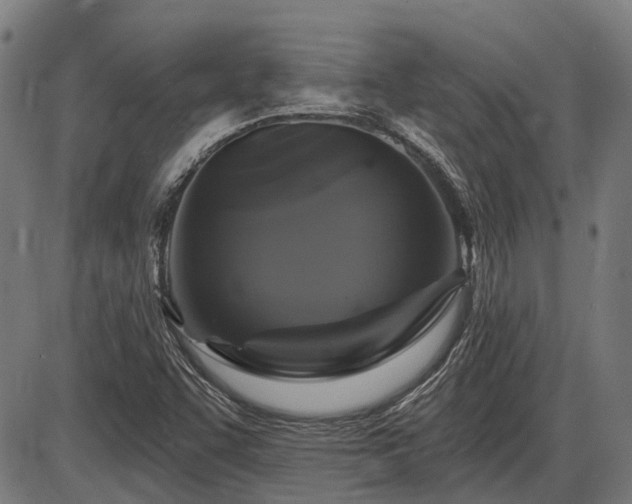 X0000085321455200703161453