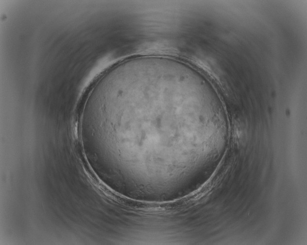 X0000085321462200703161453
