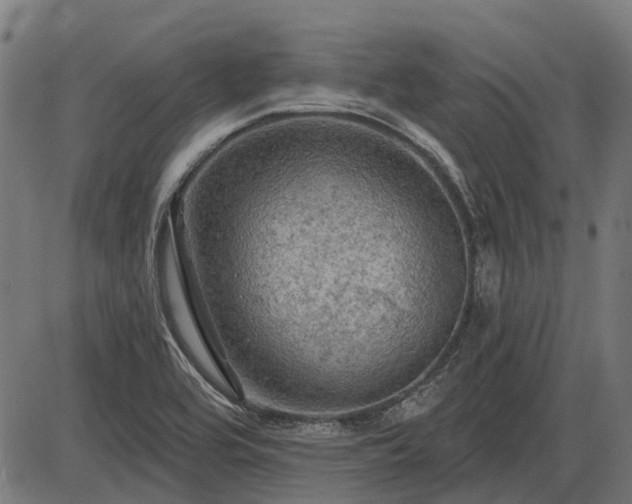 X0000085321464200703161453