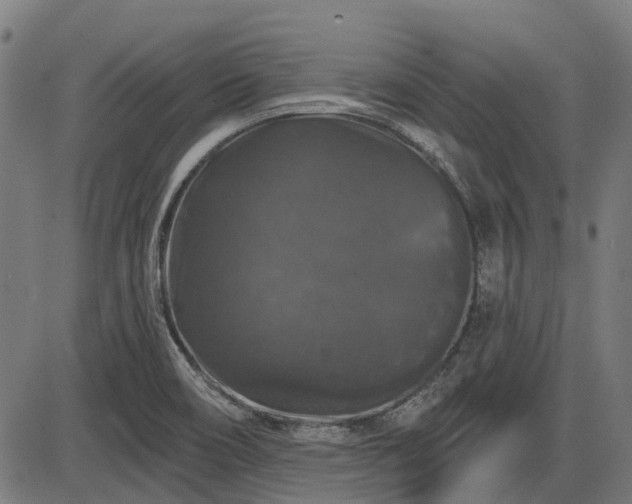 X0000085321466200703161453