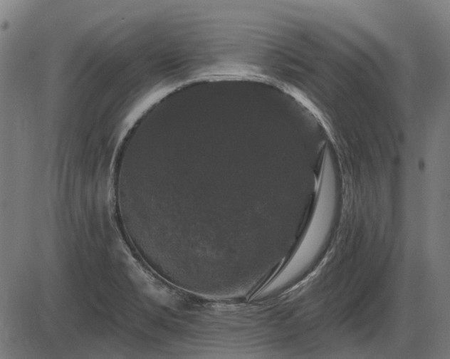 X0000085321469200703161453