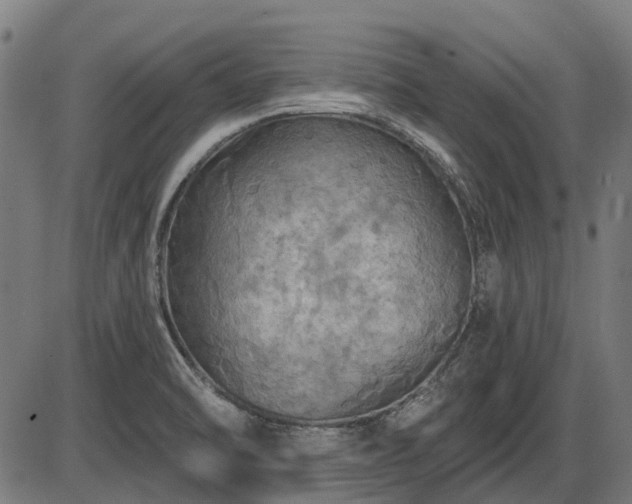X0000085321470200703161453