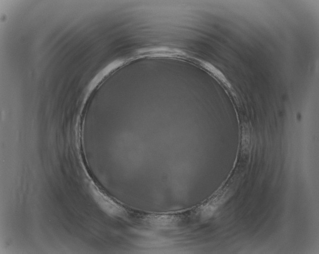 X0000085321474200703161453