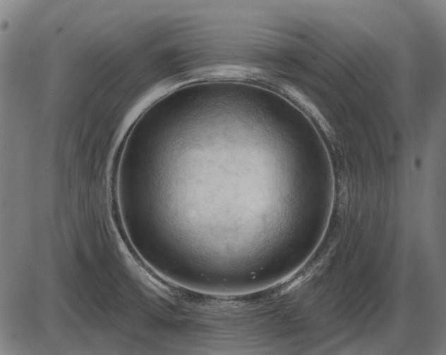X0000085321475200703161453