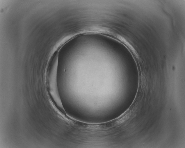 X0000085321477200703161453