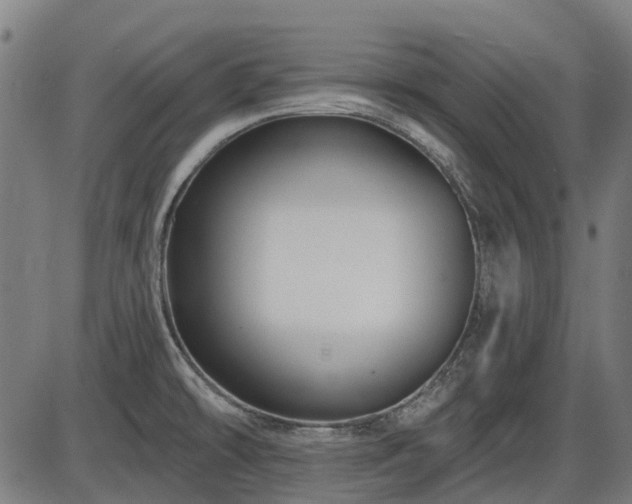 X0000085321478200703161453