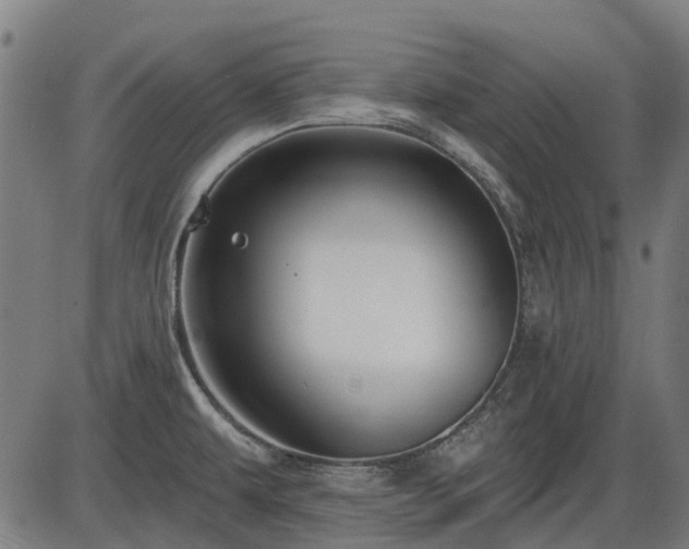 X0000085321479200703161453
