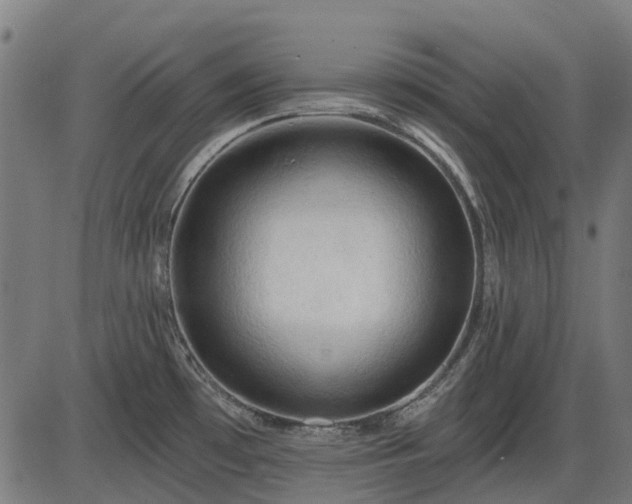 X0000085321481200703161453