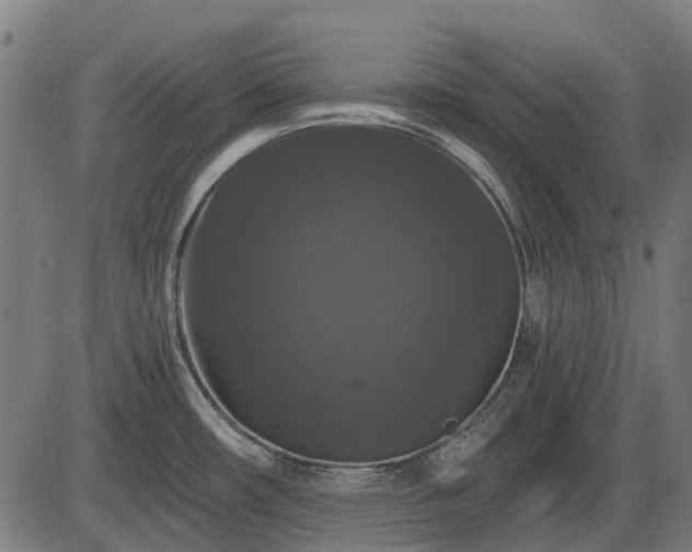 X0000085321482200703161453