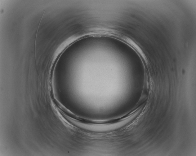X0000085321485200703161453