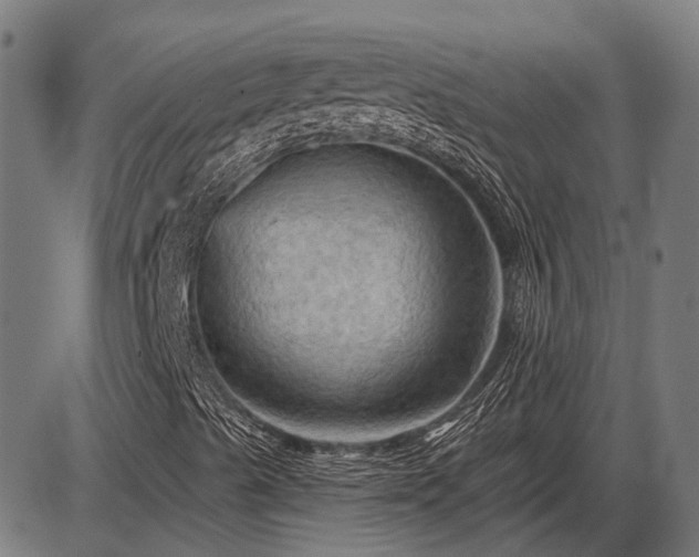 X0000085321489200703161452