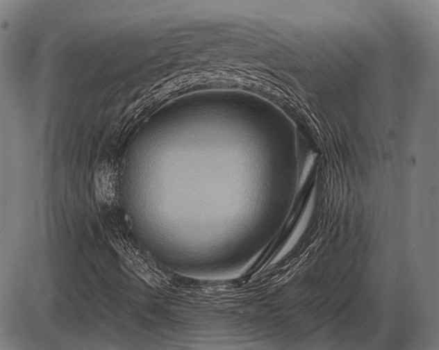 X0000085321490200703161452
