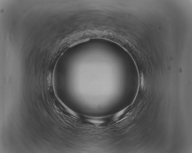 X0000085321492200703161452