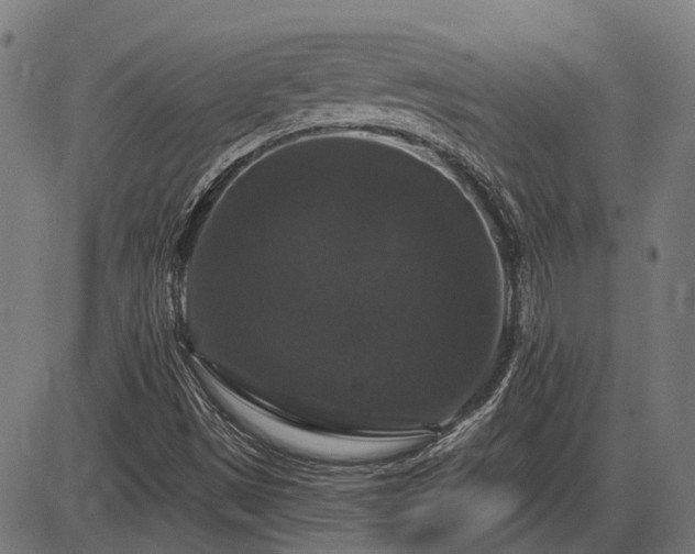 X0000085321497200703161452