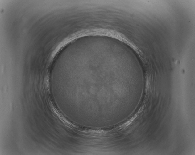 X0000085321498200703161452