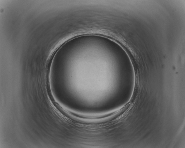 X0000085321500200703161452