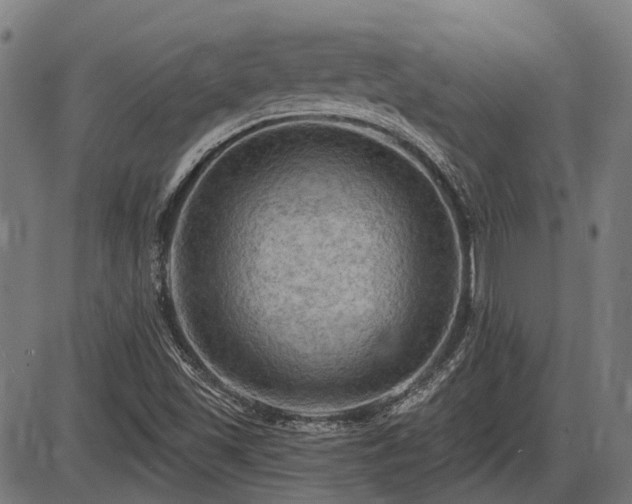 X0000085321501200703161452