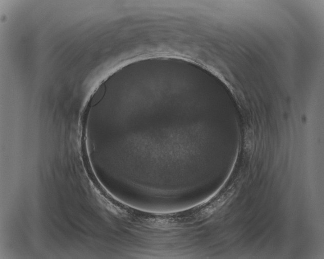 X0000085321508200703161452