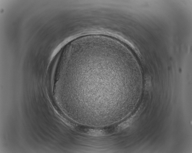 X0000085321509200703161452