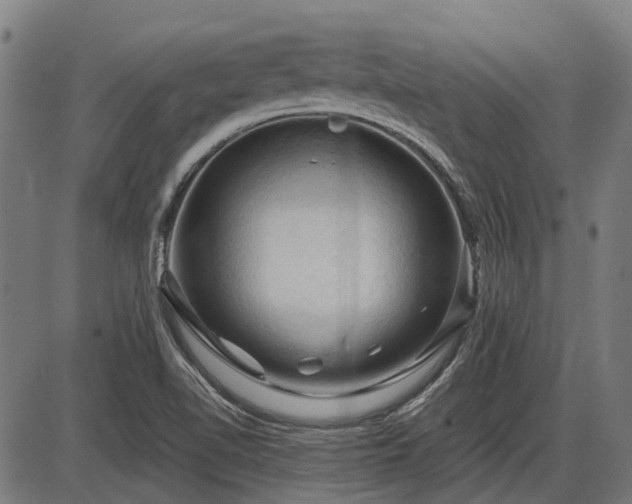X0000085321510200703161452