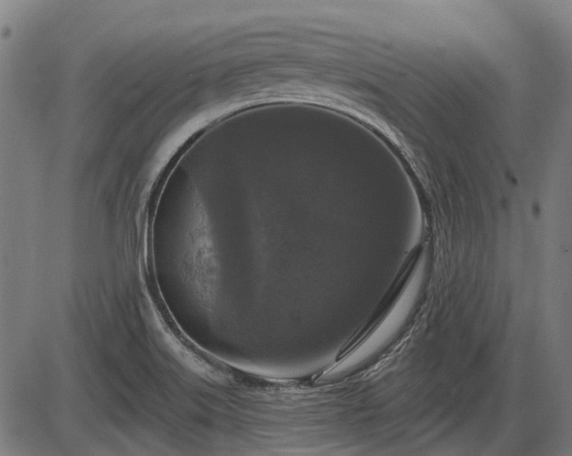 X0000085321515200703161452