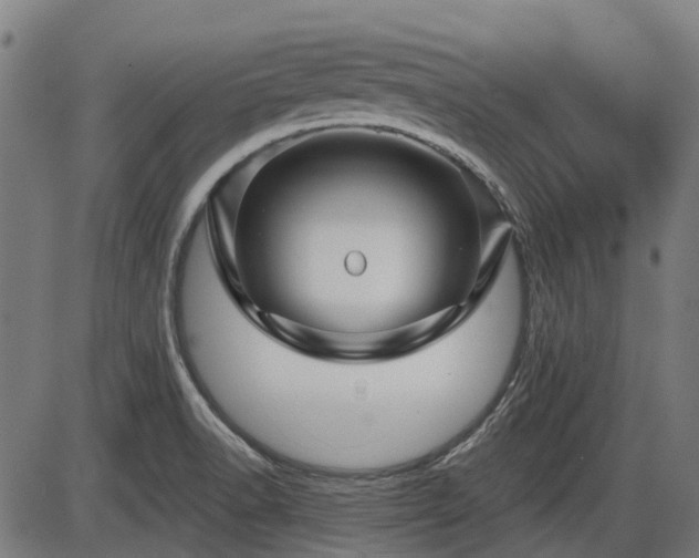 X0000085321518200703161452