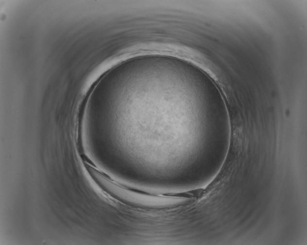 X0000085321523200703161452