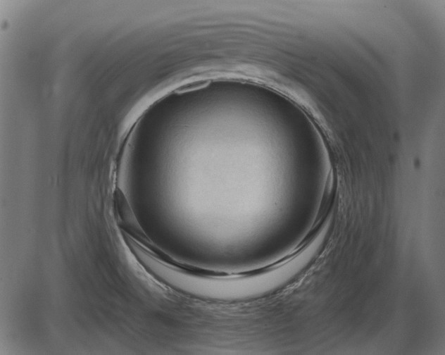 X0000085321524200703161452