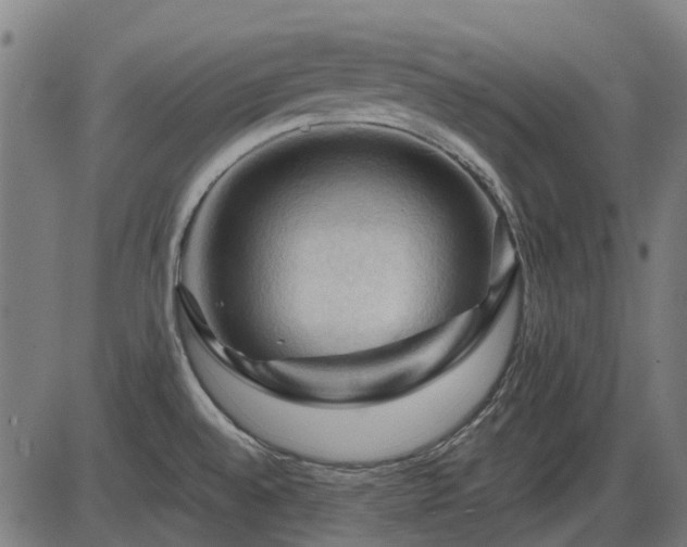 X0000085321528200703161453